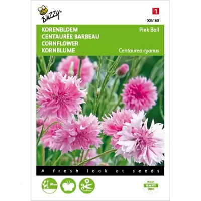 Centaurea, Korenbloem Pink Ball
