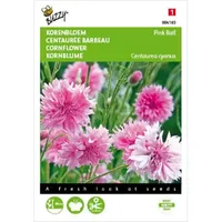 Centaurea, Korenbloem Pink Ball