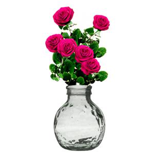 Bloemenvaas Lourdes - transparant - gerecycled glas - D25 x H30 cm - Ronde bol vorm vaze