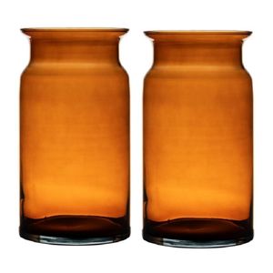 Set van 2x stuks oranje/transparante melkbus vaas/vazen van glas 29 cm