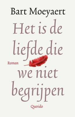 Het is de liefde die we niet begrijpen (Hardback)