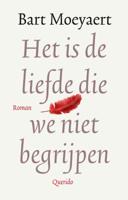 Het is de liefde die we niet begrijpen (Hardback)