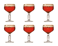 La Trappe prior bokaal (6x 25cl)