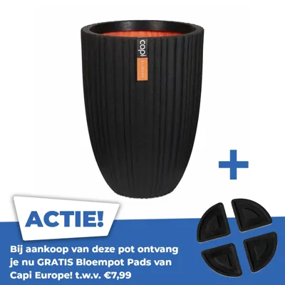 Vase elegant low Tube NL 55x73 black