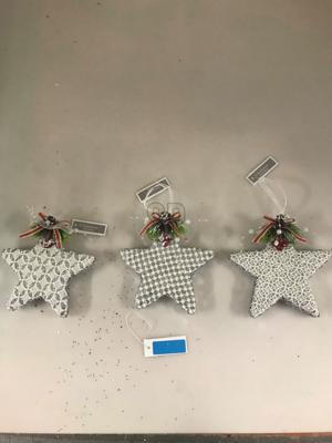 Xmas Star Foam 15 cm 3Ass Silve - Nampook