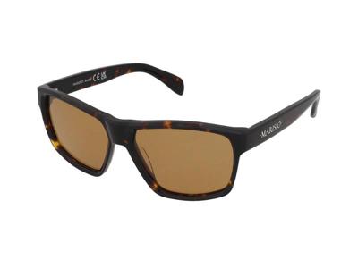 Zonnebrillen Marisio Bold/S C2