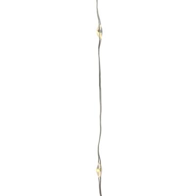 Lumineo Draadverlichting - 2x - micro - 60 lampjes - LED - warm wit - 295 cm - kerstverlichting