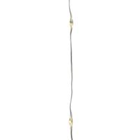Lumineo Draadverlichting - 2x - micro - 60 lampjes - LED - warm wit - 295 cm - kerstverlichting