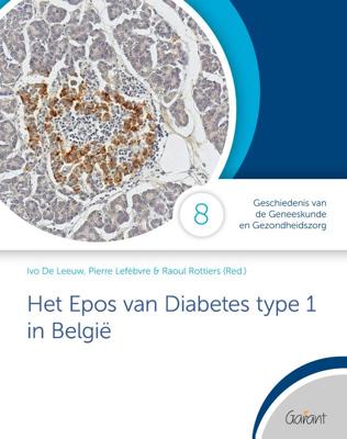 Het epos van diabetes type 1 in België (Paperback)