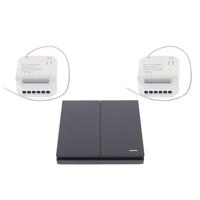Wifi draadloos, dubbele micro dimmer module 150W + dubbele afstandsbediening ZWART