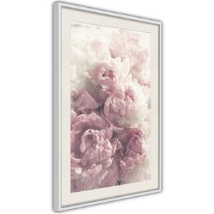 Ingelijste Poster - Roze Pioenrozen Witte lijst met passe-partout