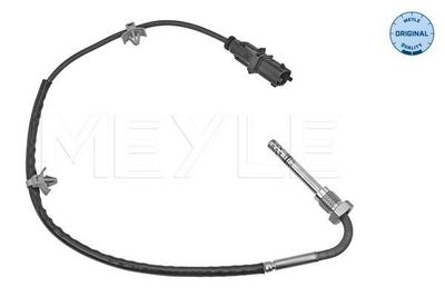 Sensor, uitlaatgastemperatuur 6148000089