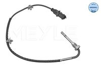 Sensor, uitlaatgastemperatuur 6148000089