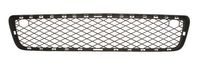 Ventilatiegrille, bumper 6502070096993P
