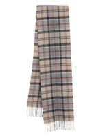Barbour écharpe frangée Holden à carreaux - Gris