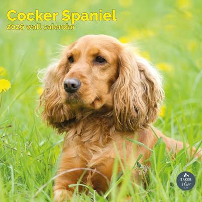 Engelse Cocker Spaniel Kalender 2026