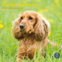 Engelse Cocker Spaniel Kalender 2026