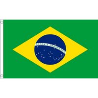 Vlag van Brazilie mini formaat 60 x 90 cm   -