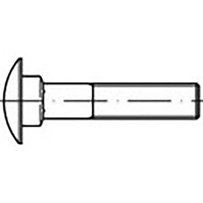 TOOLCRAFT TO-6855753 Platbolkopschroeven M10 30 mm DIN 603 Staal Thermisch verzinkt 100 stuk(s)