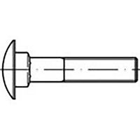 TOOLCRAFT TO-6855753 Platbolkopschroeven M10 30 mm DIN 603 Staal Thermisch verzinkt 100 stuk(s) - thumbnail