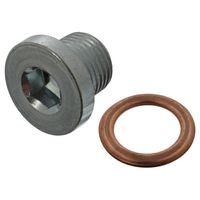 Afsluitschroef oliepan 45618