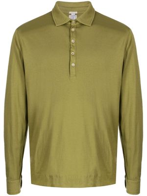 Massimo Alba polo Ischia en jersey - Vert