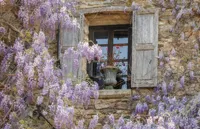 Alexsar Art Tuindoek paarse bloemen raam 140x90cm