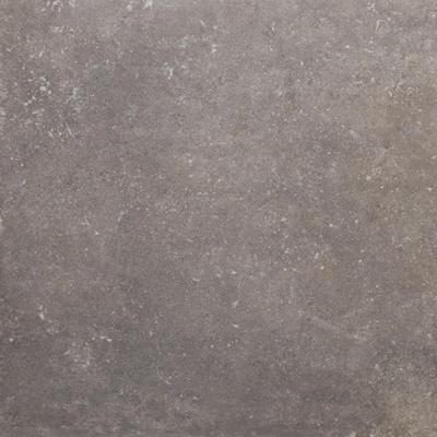 Beste Koop Phorma Vloertegel 600X600 Musk 8,8mm Mat Ret.R10