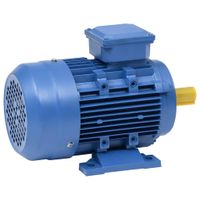 VidaXL Elektromotor 3 fase 3 kw/4 pk 2-polig 2840 rpm aluminium