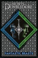 Poster Fantastic Beasts Dumbledore vs Grindelwald 61x91,5cm