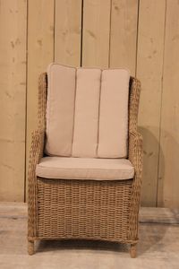 Darwin verstelbare stoel rattan grey - Eurofleur aanbieding