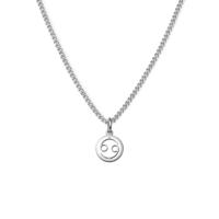 Minimalistische sterrenbeeld ketting - Stainless steel - Zilver - Kreeft - Cancer