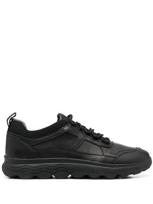 Geox baskets Spherica - Noir
