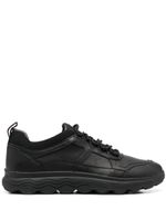 Geox baskets Spherica - Noir