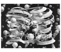 Kunstdruk M. C. Escher - Band ohne Ende 65x55cm