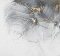 Noordwand Komar Raw Fotobehang Ink Gold Fluid - RSX6-037