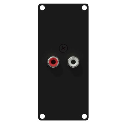 Caymon CASY132/B 2x RCA naar terminal plaatje 1 space