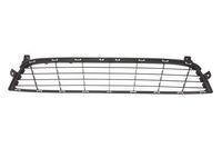 Ventilatiegrille, bumper 6502071311910P