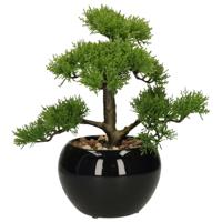 Atmosphera bonsai boompje in keramische pot - 36 cm - pvc - groen - kunstplant   - - thumbnail