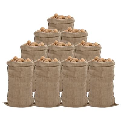Jutezakken 10 stuks 340 g/m² 65x135 cm 100% jute