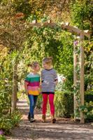 Pergolaset toog 120x50x220 II Tuindeco - Tuindeco