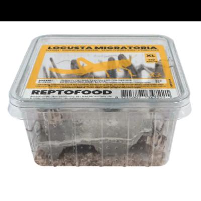 Reptofood Reptofood Sprinkhanen Volwassen Bakje