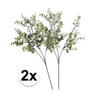 Kunstbloem/kunsttak Eucalyptus Cinera - 2x - 65 cm - losse steel - kunst zijdebloemen