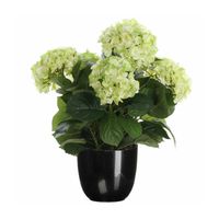 Hortensia kunstplant/kunstbloemen 45 cm - groen - in pot zwart - Kunstplanten - thumbnail
