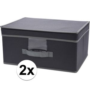 2x Grijze opbergdozen/opbergboxen met vaste deksel 39 cm