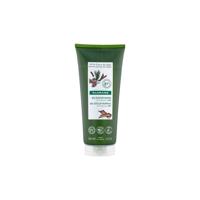 Klorane Gel Douche Encorce de Cedre 200ml Klorane Gel Douche Encorce de Cedre 200ml