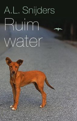 Ruim water - A.L. Snijders - ebook