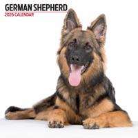 Duitse Herder Modern Kalender 2026