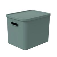 Rotho albula multibox 29.5x29x37 cm 27l mistletoe groen