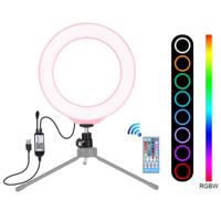 PULUZ 6 2 inch 16cm USB RGBW Dimbare LED ring Vloggen fotografie video lichten met koude schoen statief bal hoofd & afstandsbediening (roze)